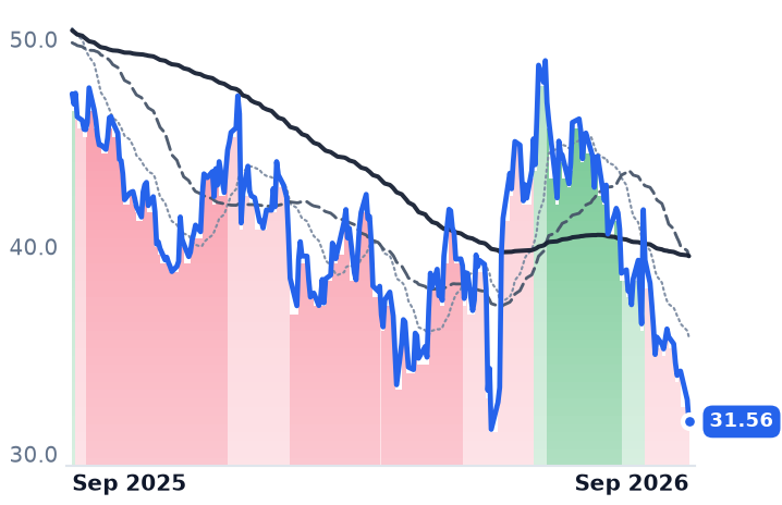 BIRK 12-month price