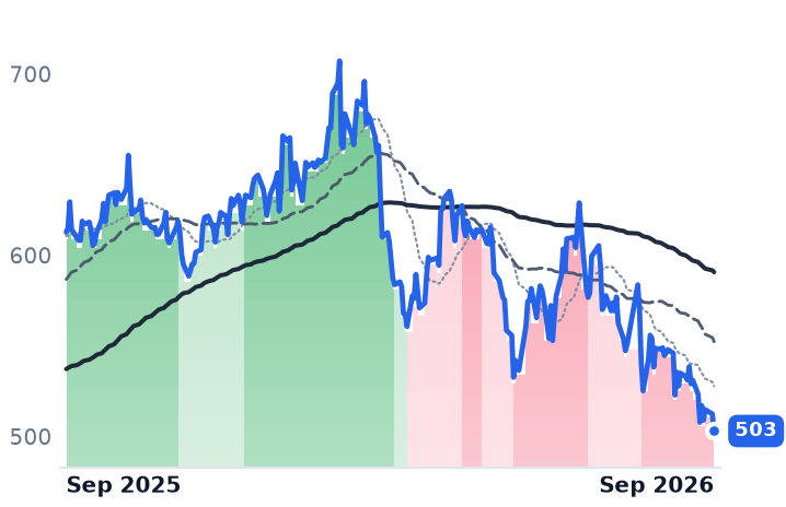 MLM 12-month price